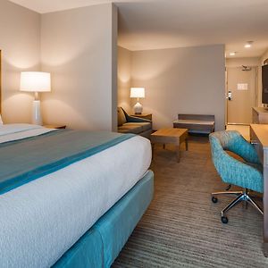 Suite mit Kingsize-Bett